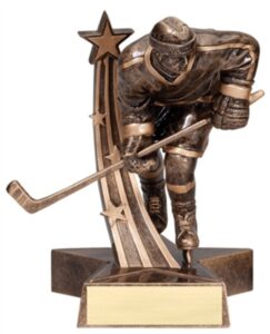 Read more about the article The Ultimate Guide to Choosing the Best Hockey Trophy for Your Team